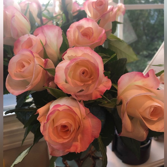 Meet your Posher, Kelly - Picture 2 of 2